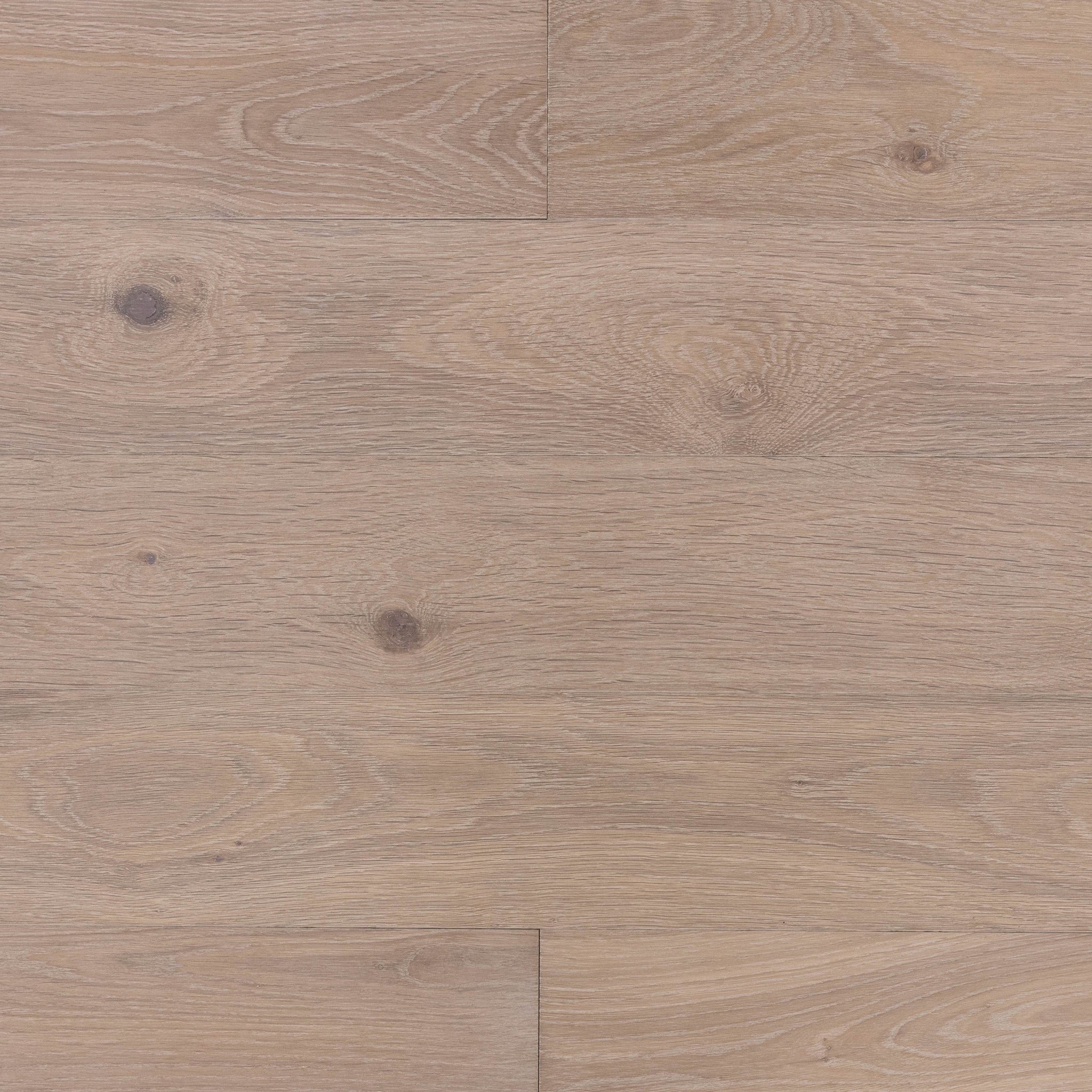 Mojave White Oak