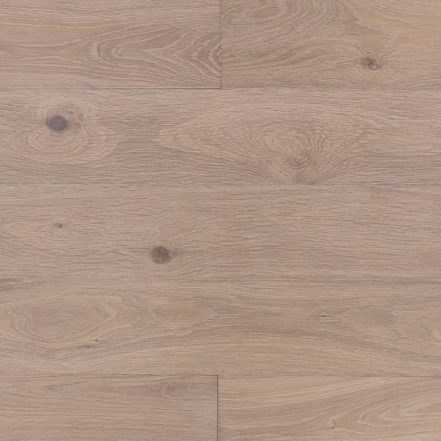Mojave White Oak