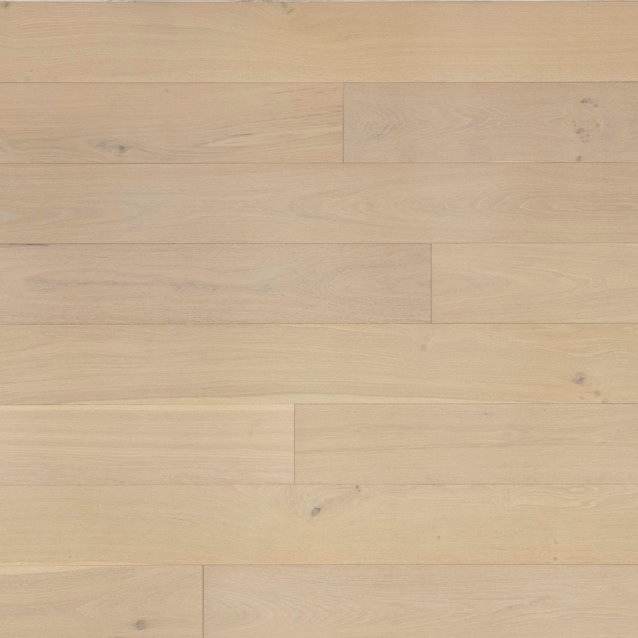 Isle White Oak