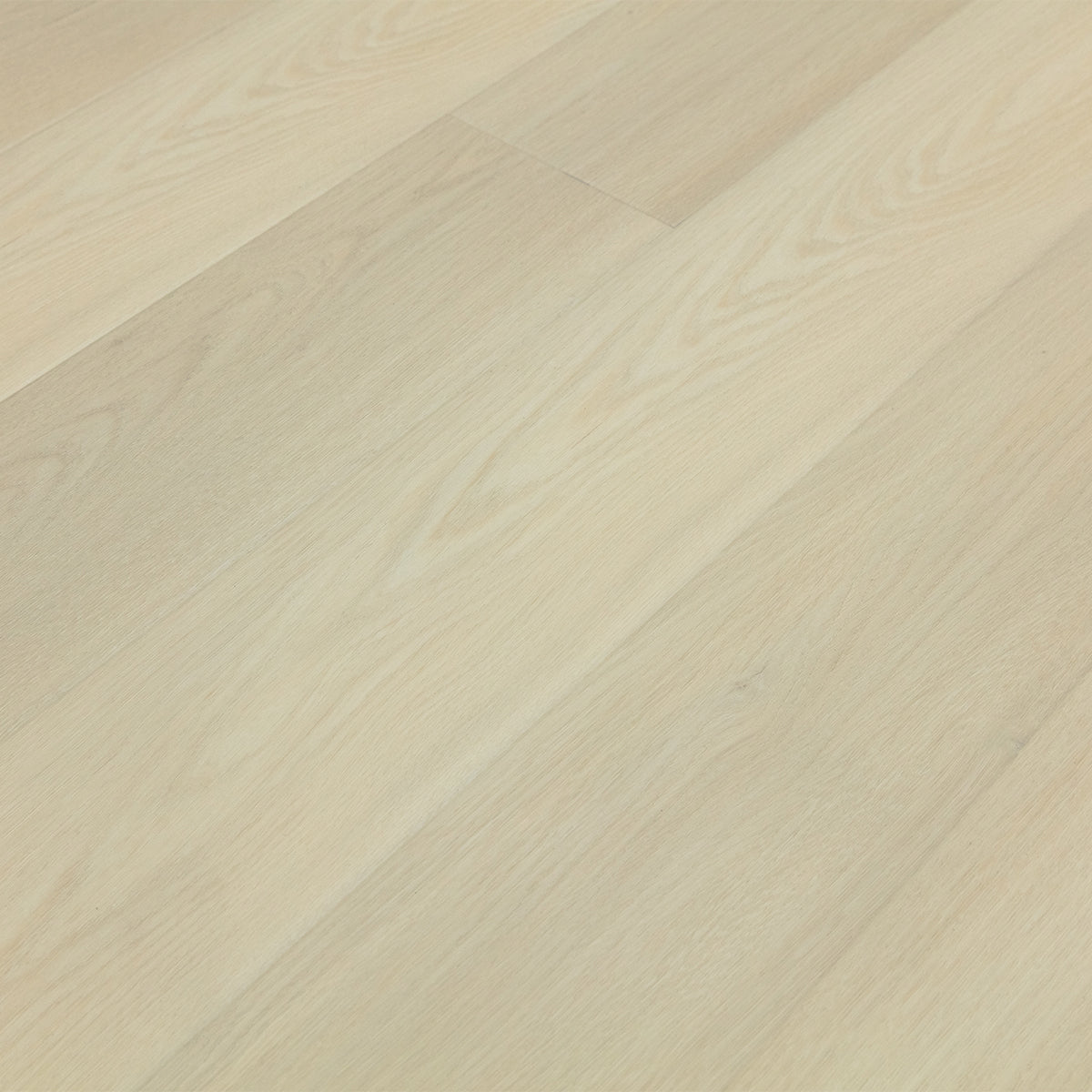 Cumulus White Oak Sample