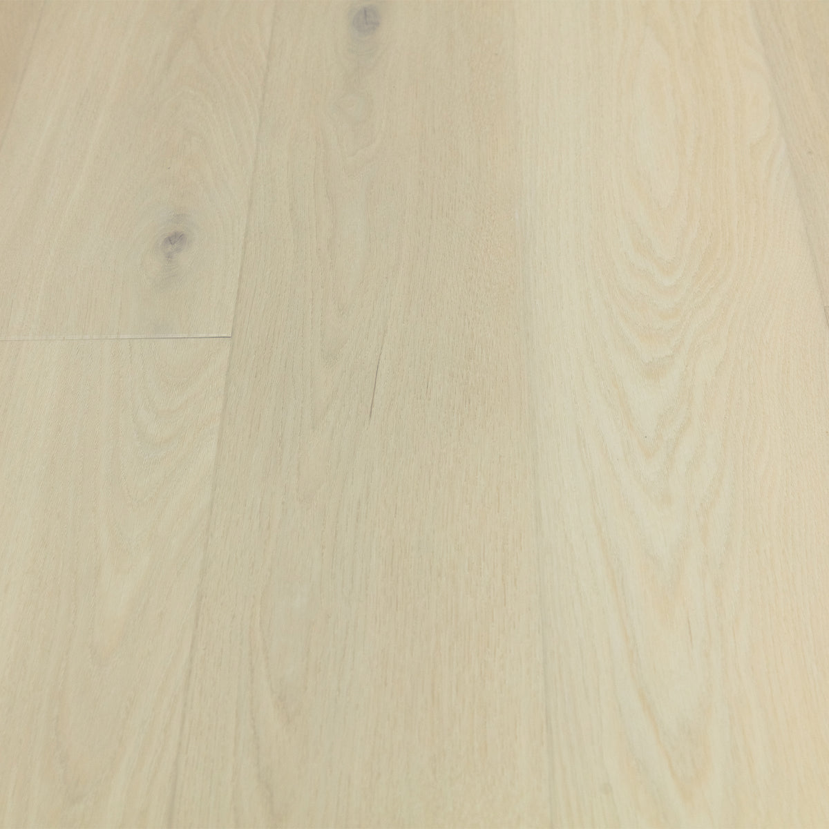 Cumulus White Oak Sample