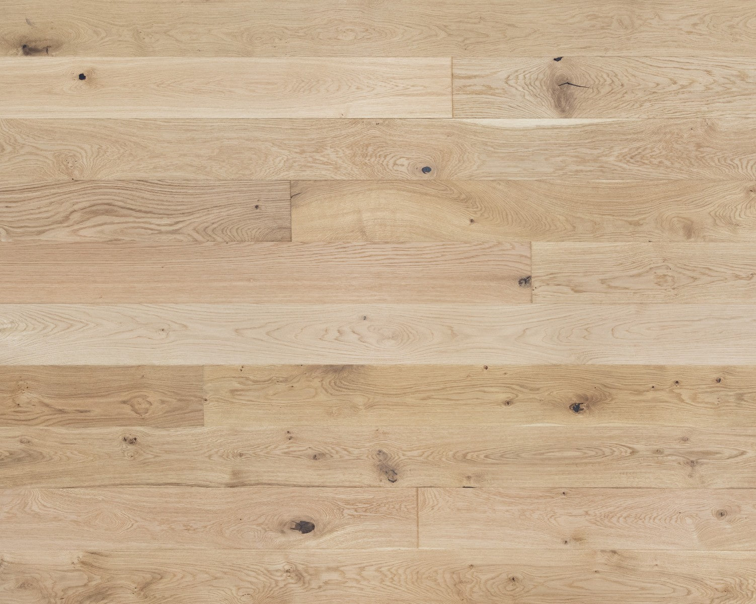 Canyon White Oak