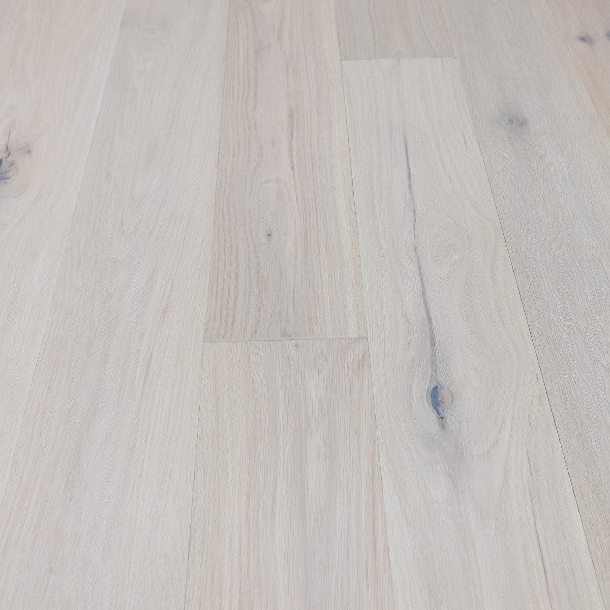 Ivory White Oak