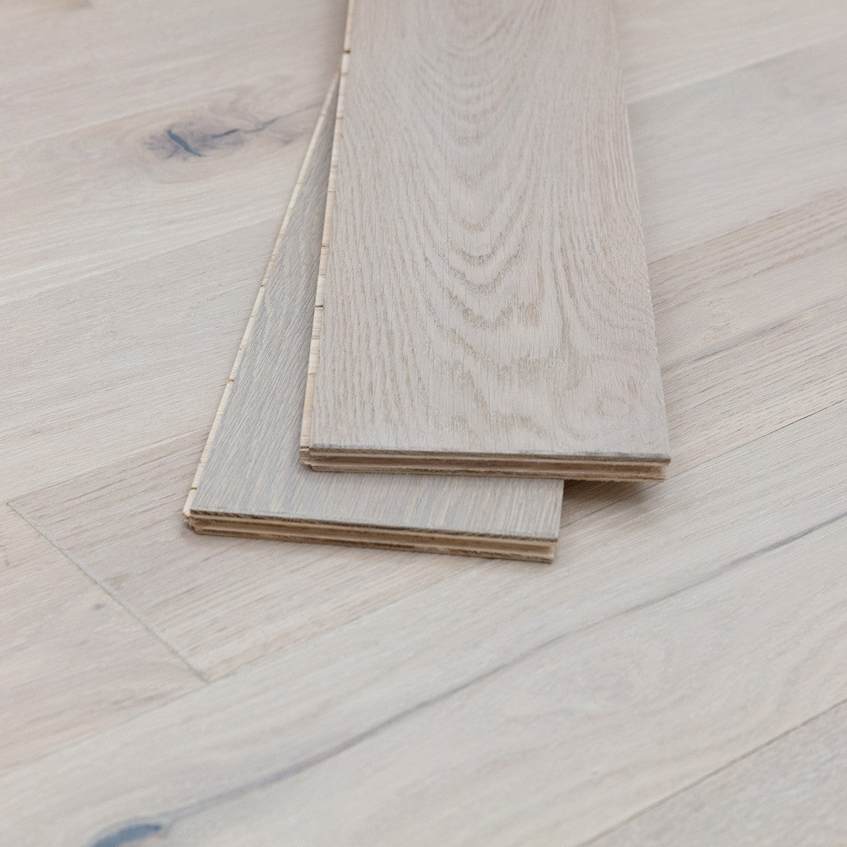 Ivory White Oak