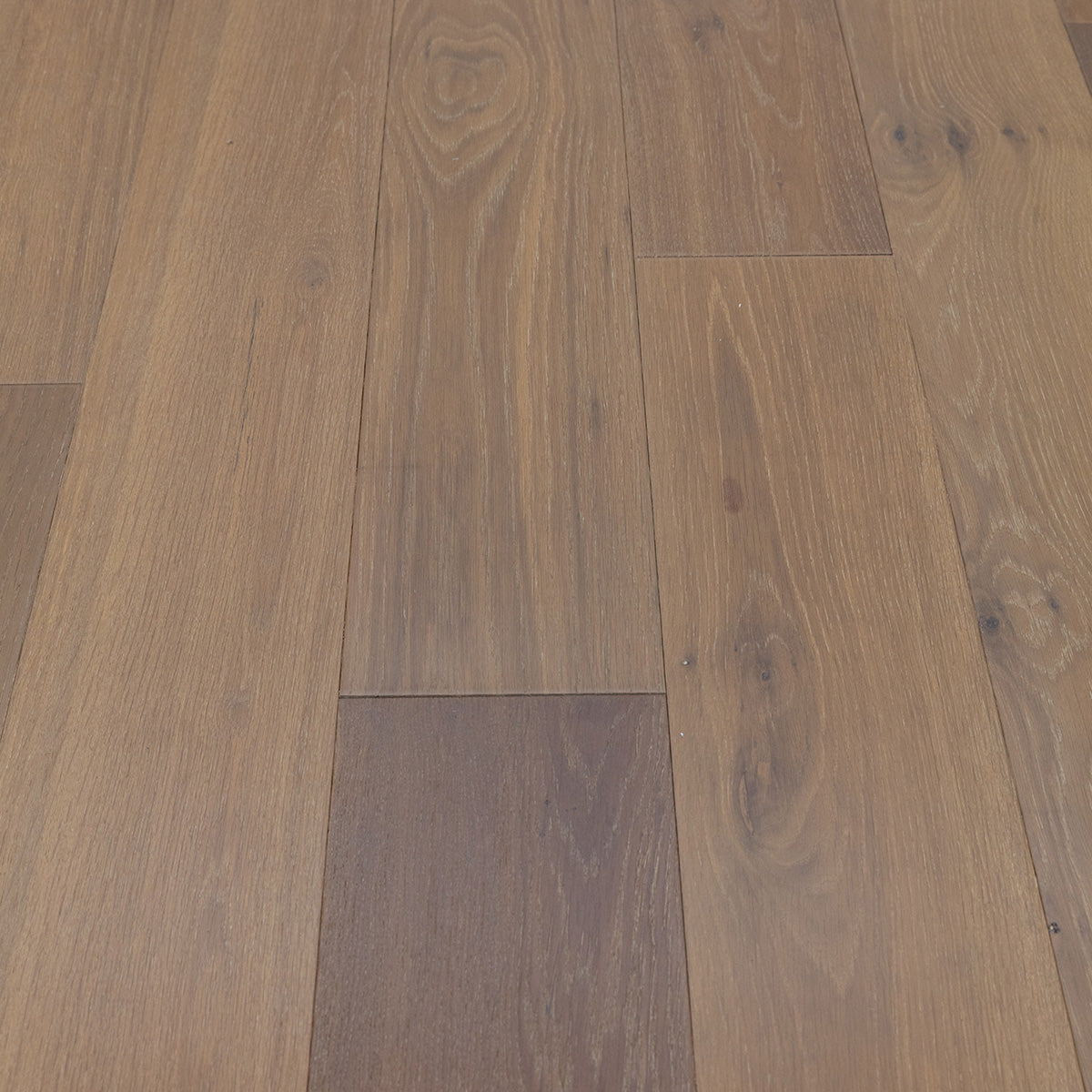 Cape Cod White Oak