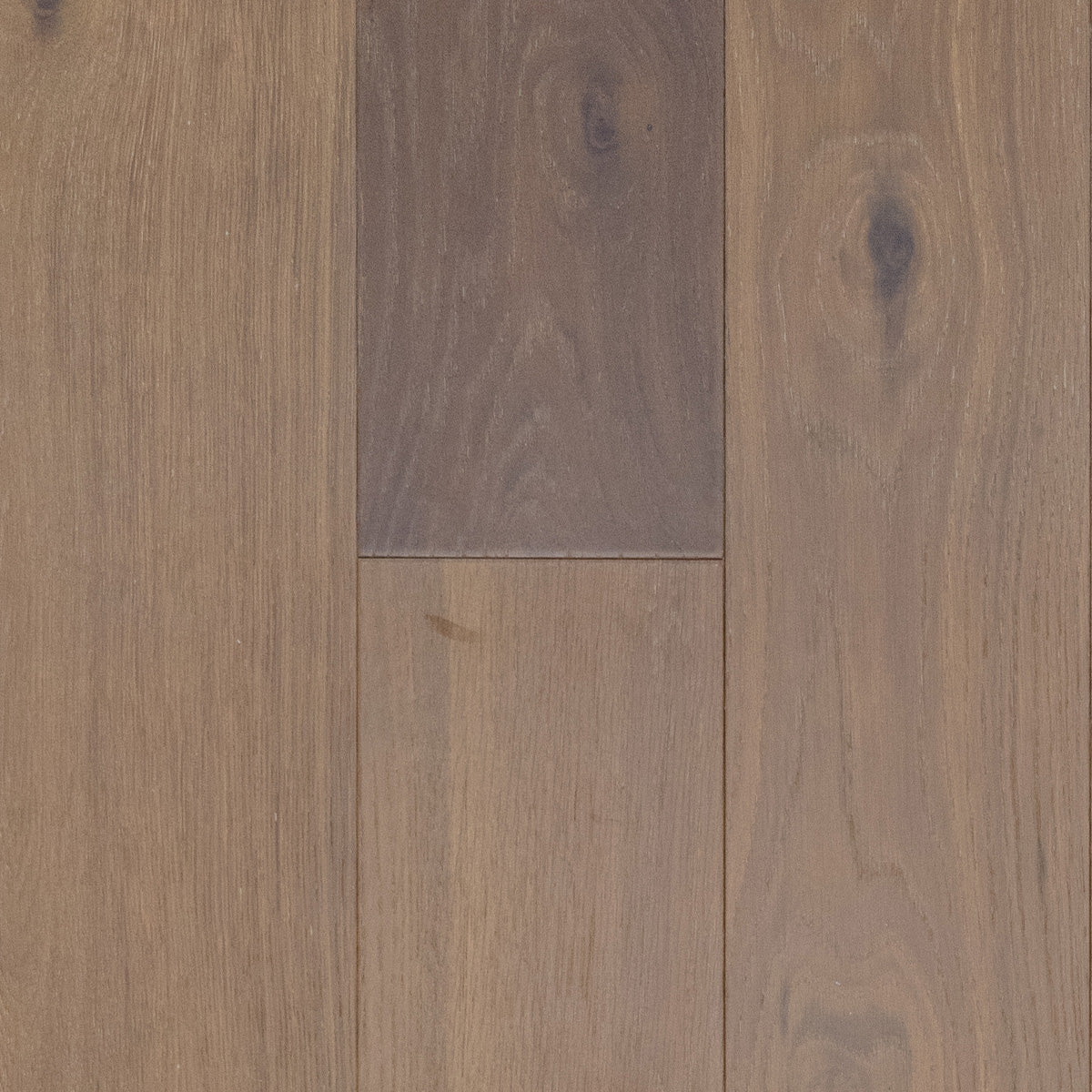 Cape Cod White Oak