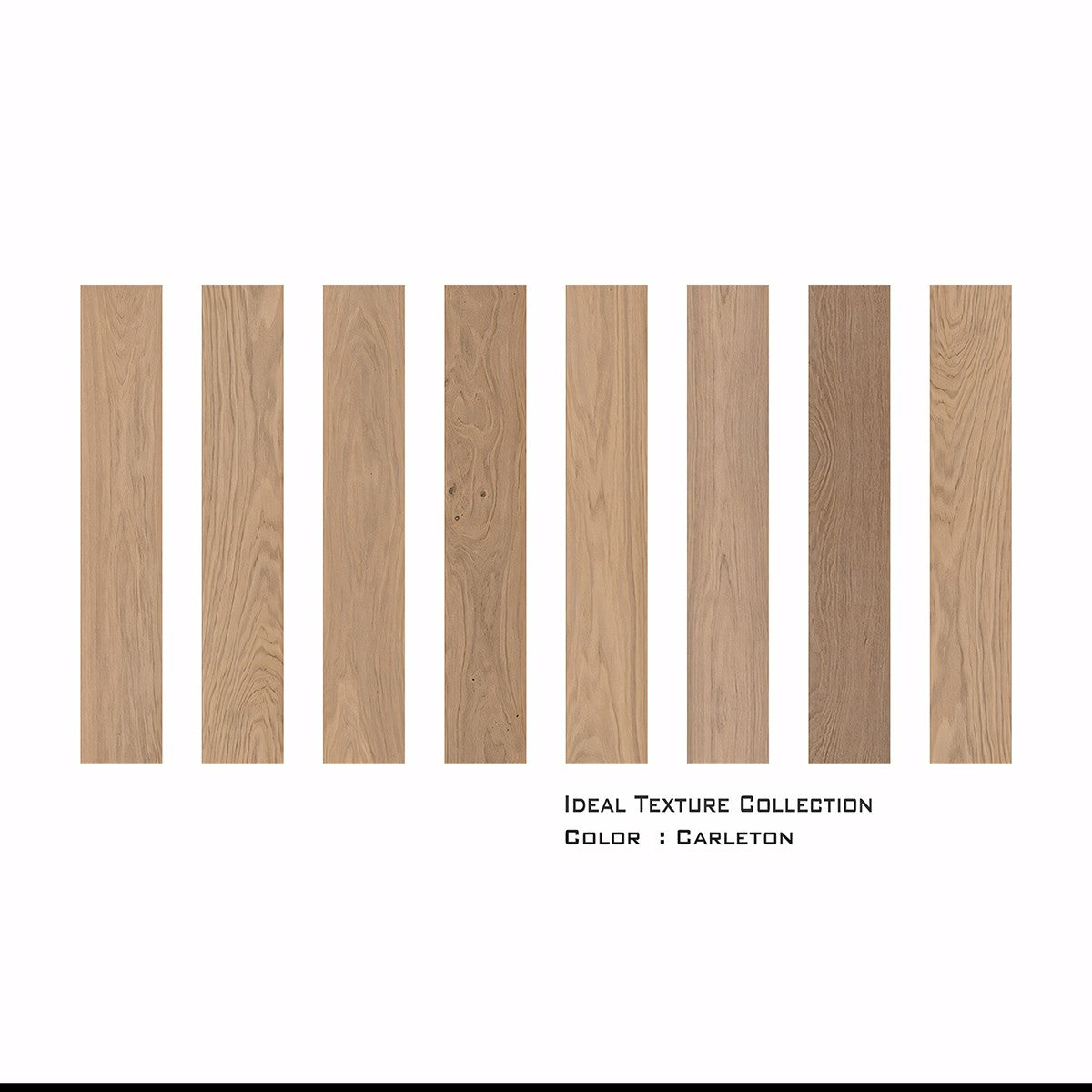 Carleton White Oak