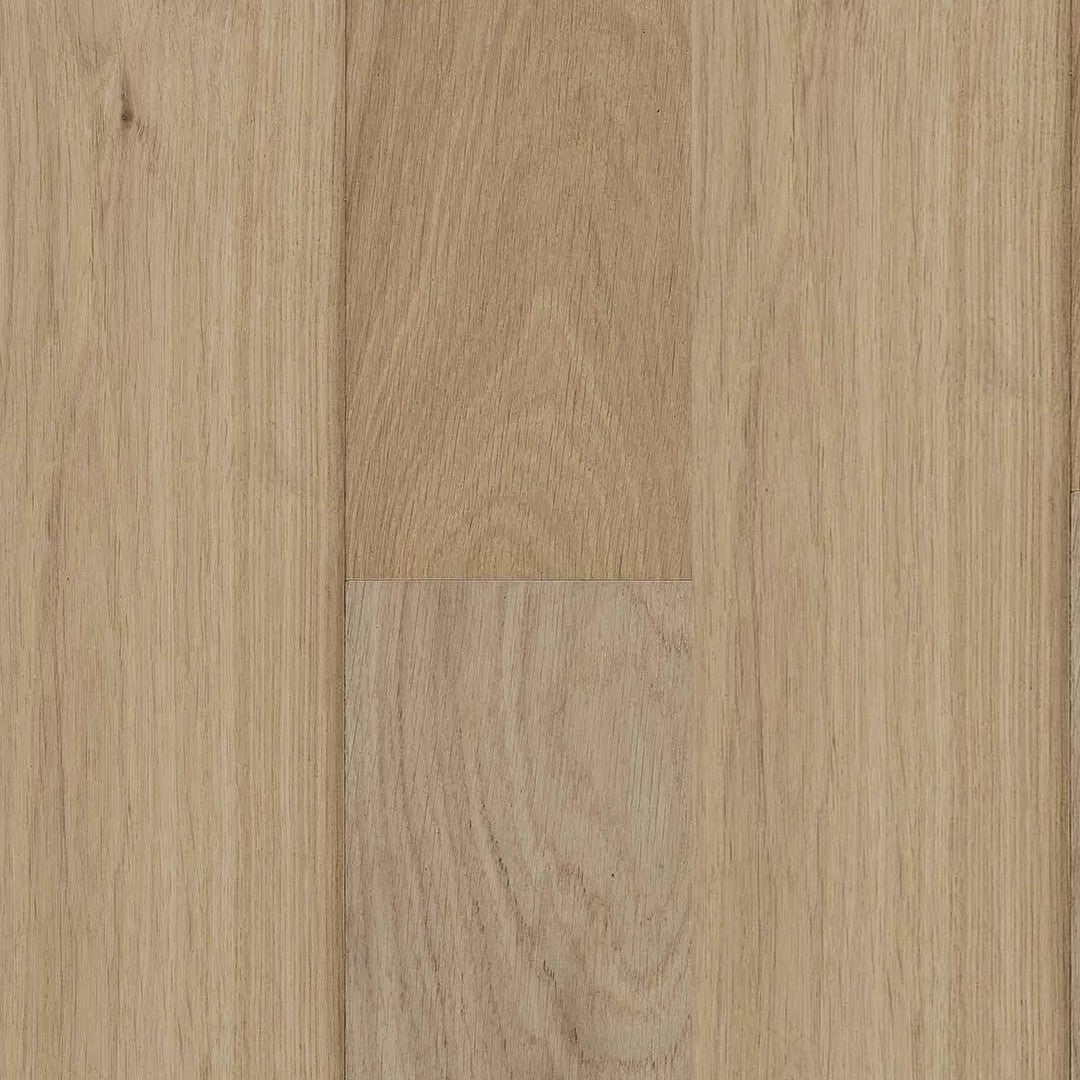 Safi White Oak Wood