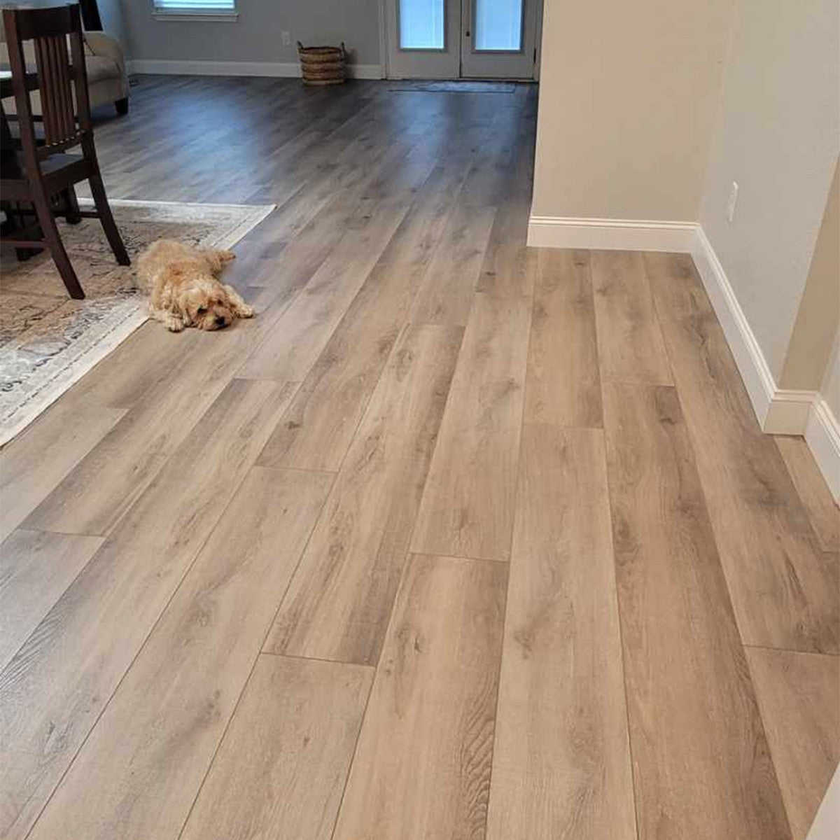 Conway Creek White Oak