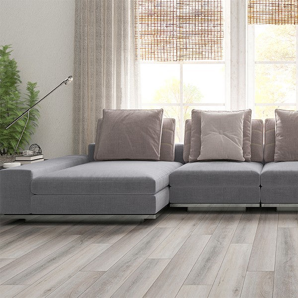Winter White Oak