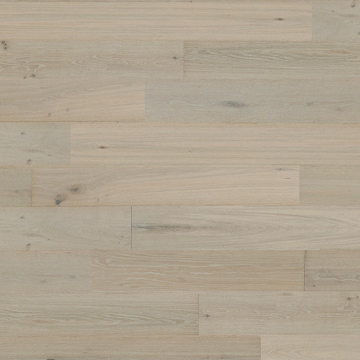 French Vanilla White Oak