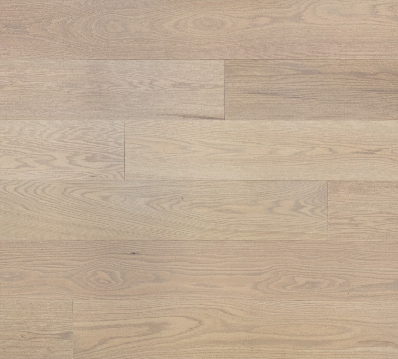 Sand Oak