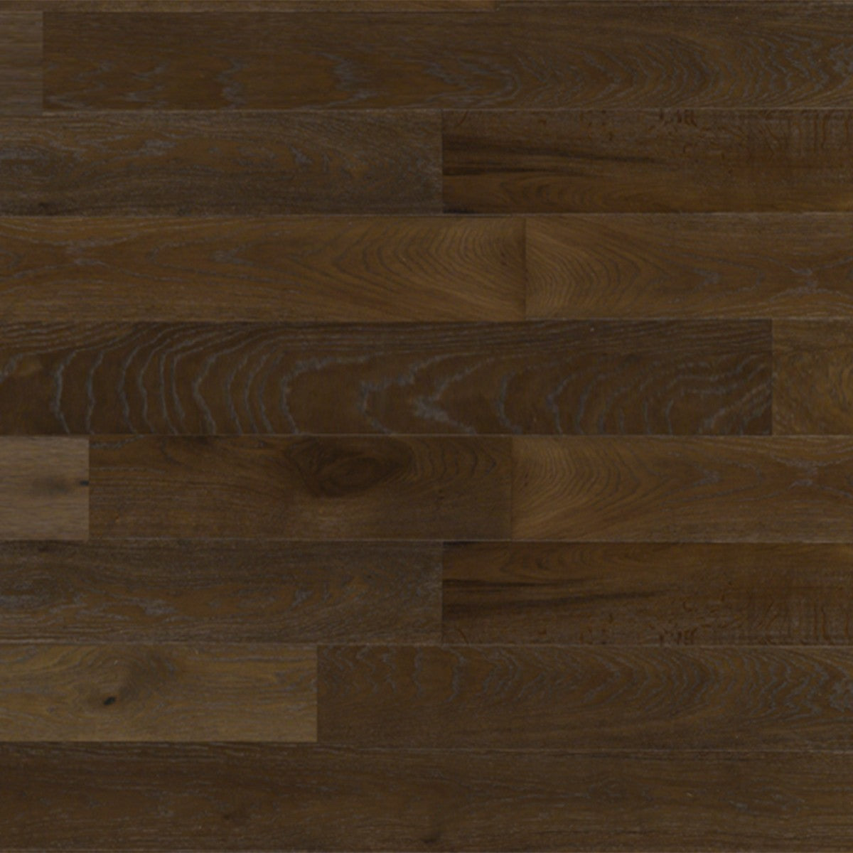 Roasted Arabica White