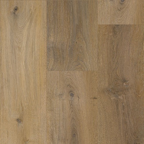 Appalachian White Oak