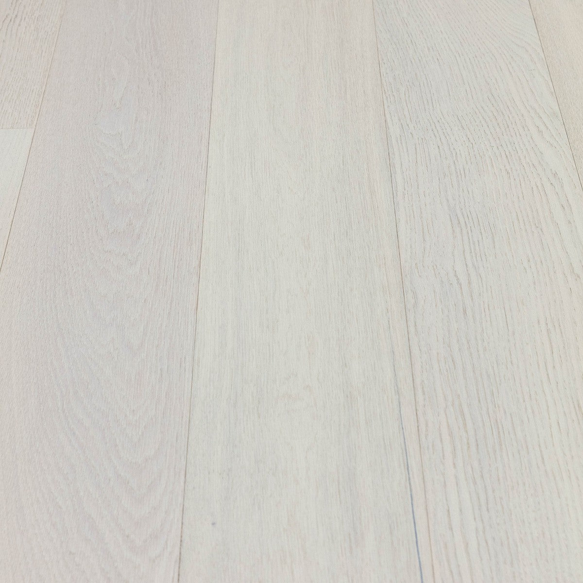 Stella White Oak