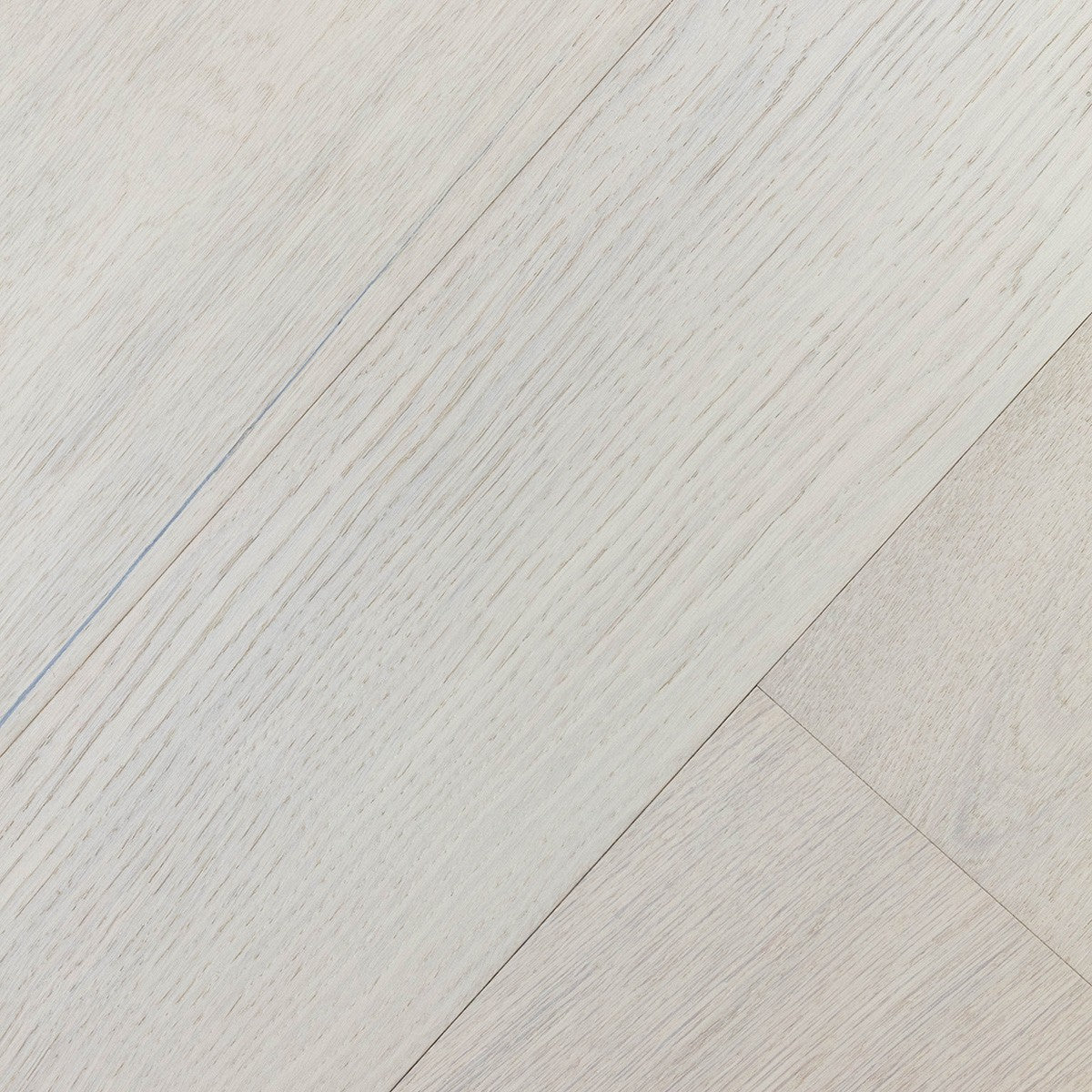 Stella White Oak