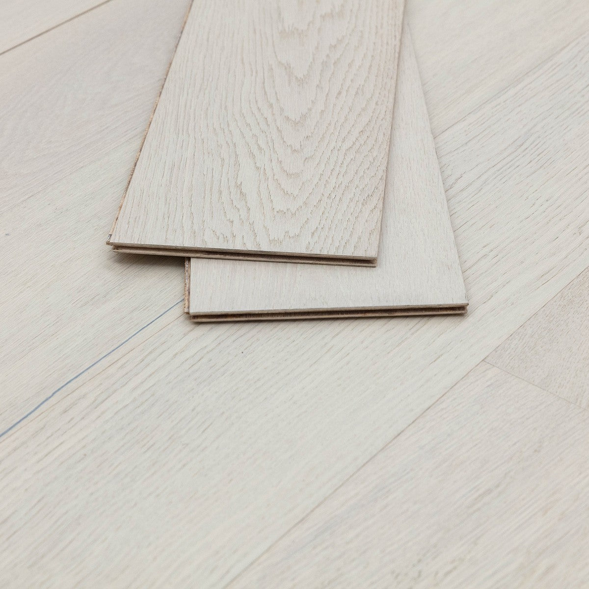 Stella White Oak