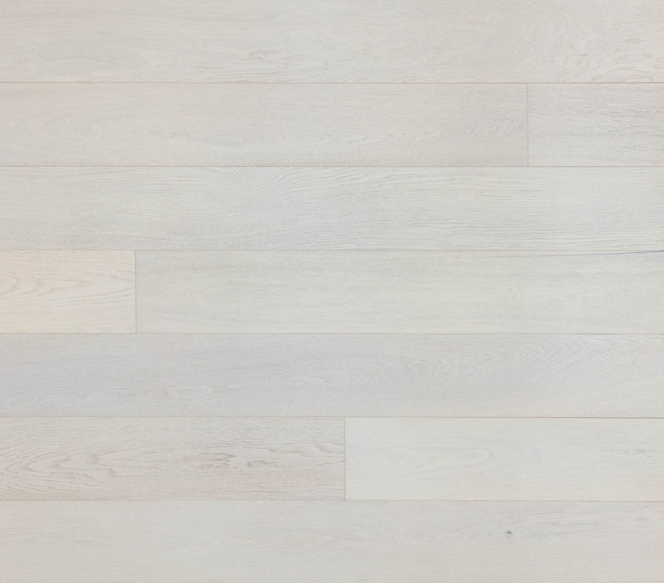 Stella White Oak